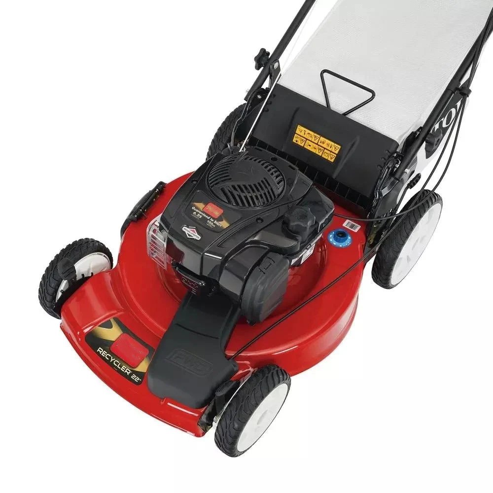 The Recycler 22 in. Briggs & Stratton High Wheel Variable Speed Gas Self Propelled Lawn Mower