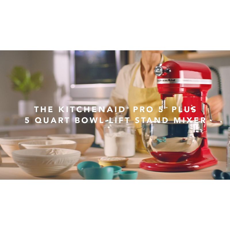 KitchenAid Professional 5qt Stand Mixer – KV25G0X