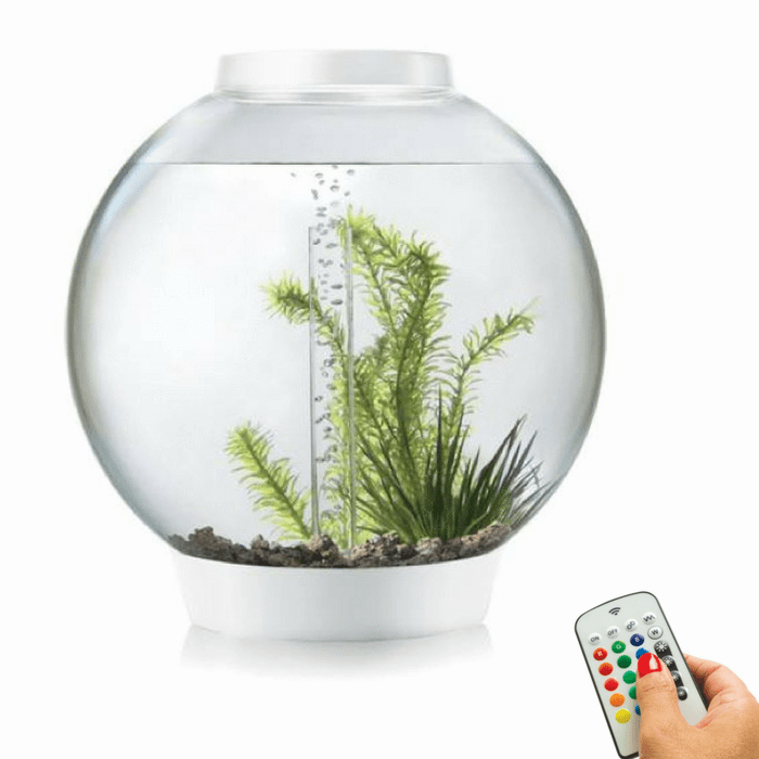biOrb Classic 30L / 8 Gallon All-in-One Acrylic Aquarium Kit with Multicolor Light