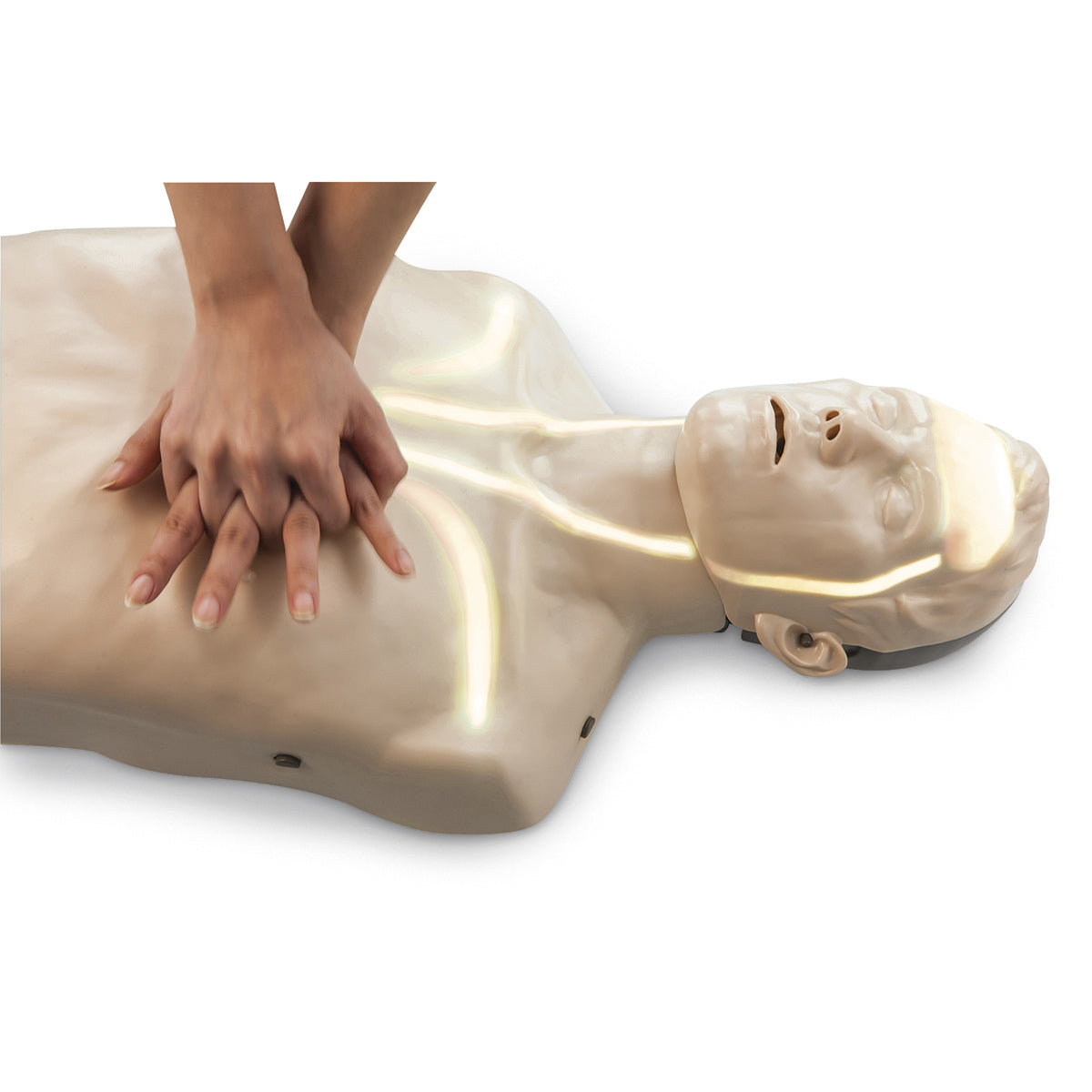 Nasco Brayden CPR Training Manikin