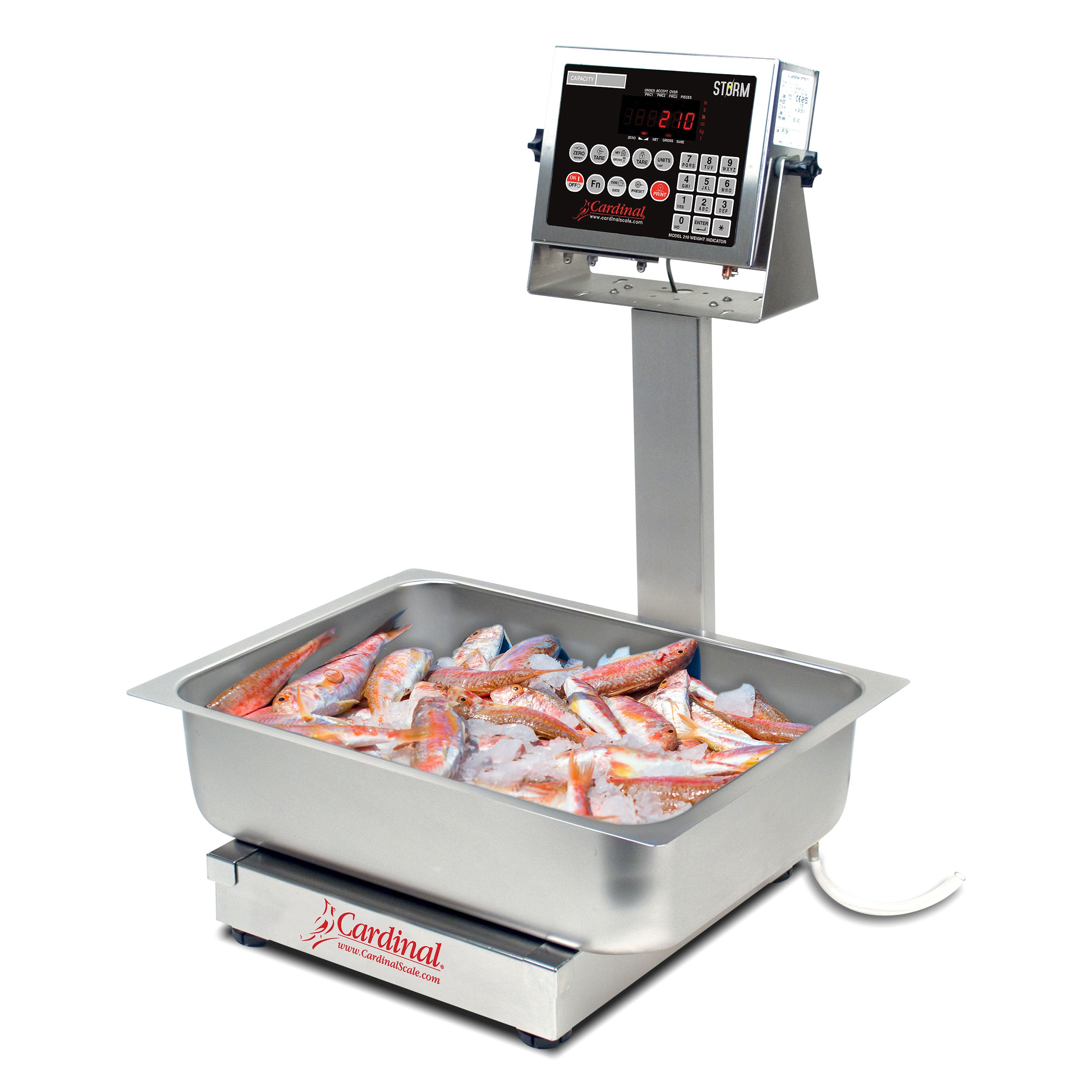 Cardinal EB-210 Series Stainless Steel Bench Scale