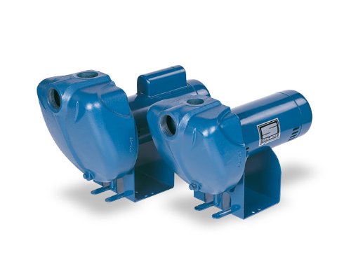 Pentair DS3HF-01 Single-Phase Self Priming High Head Centrifugal Pool and Spa Pump, 1-1/2 HP