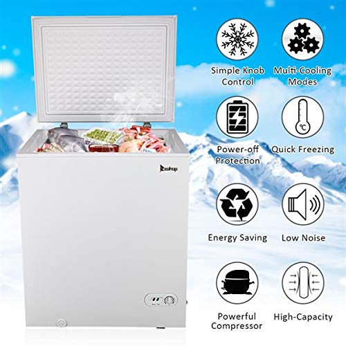 BRLUCKY US BD-150 AC115V/60Hz 143L/5.0CU.FT Single Door Horizontal Freezer White US Warehouse