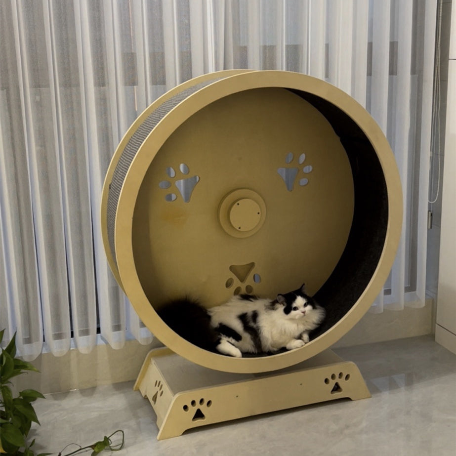 Paws and Fish Cat Wheel