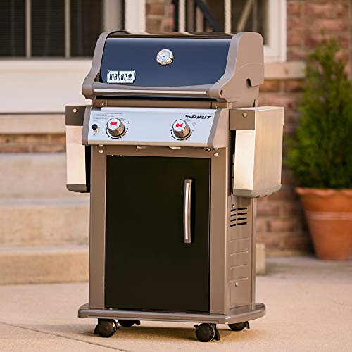 Weber 46110001 Spirit E-210 Gas Grill | Liquid Propane, 2-Burner | Black