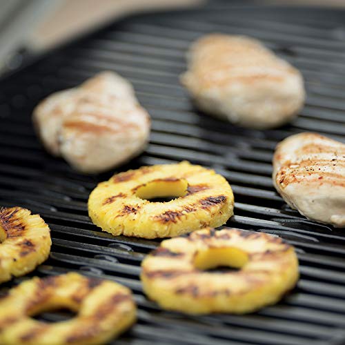 Weber 54060001 Q2200 Liquid Propane Grill , Gray