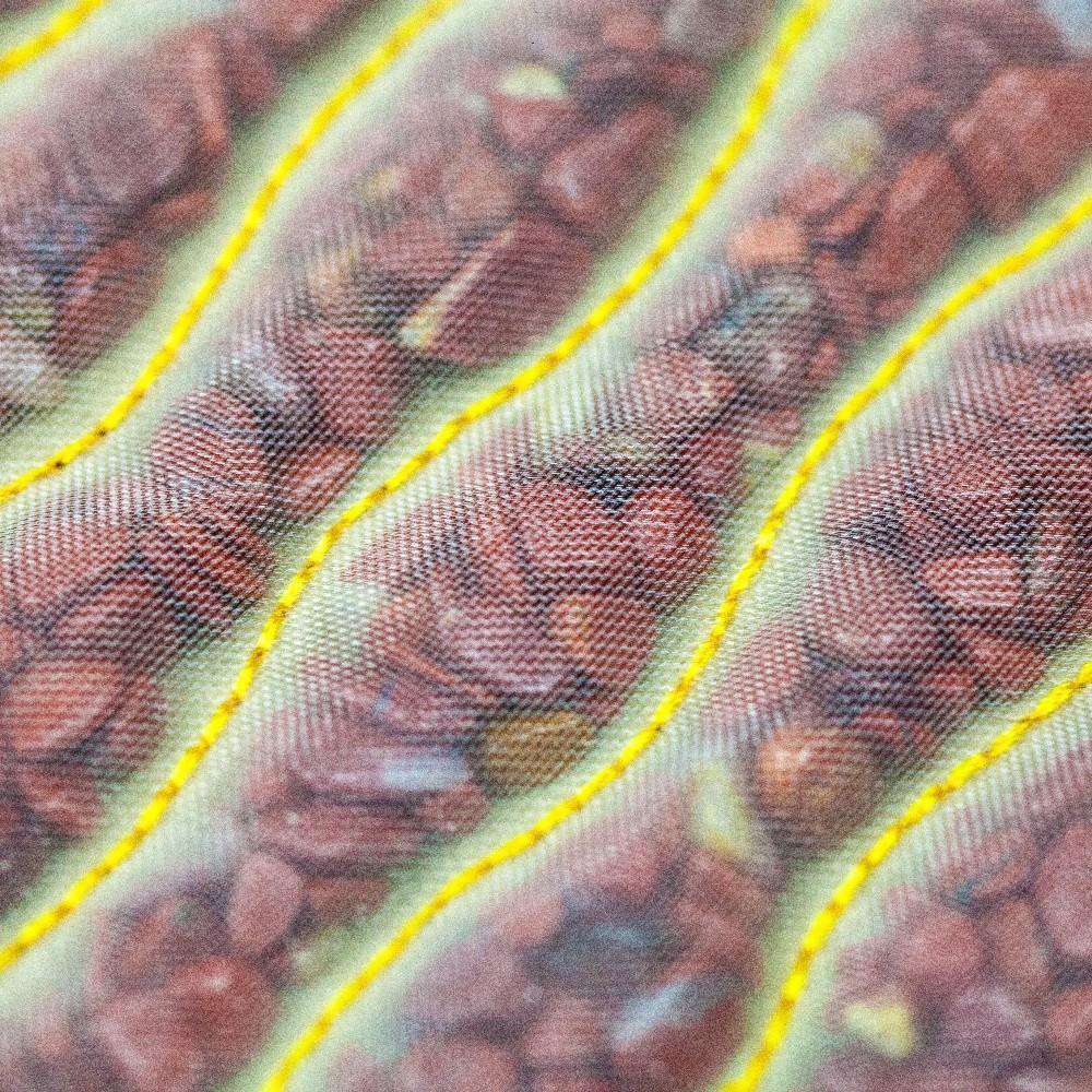 HealthyLine Rainbow Large 74