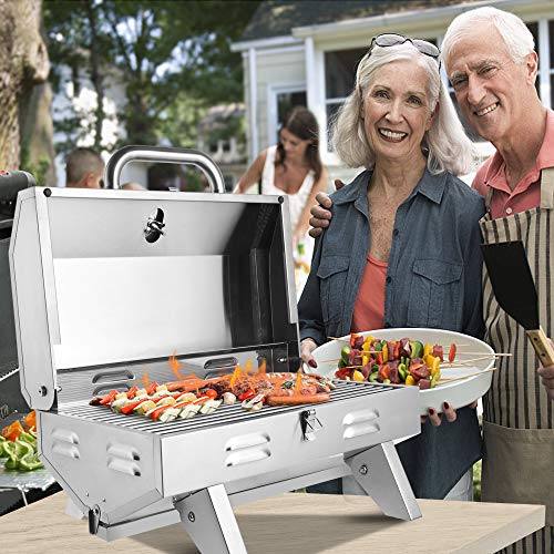 Portable Tabletop Gas Grill, Stainless Steel Patio Garden Barbecue Grill