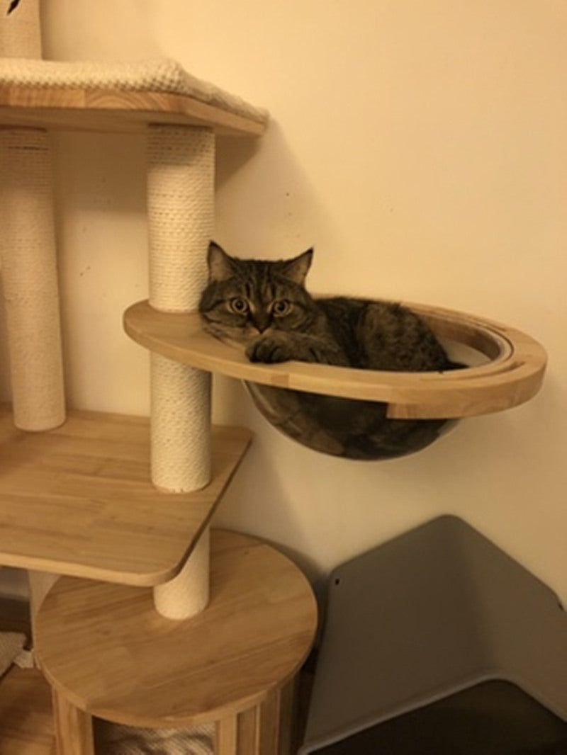 Crown Cat Tree