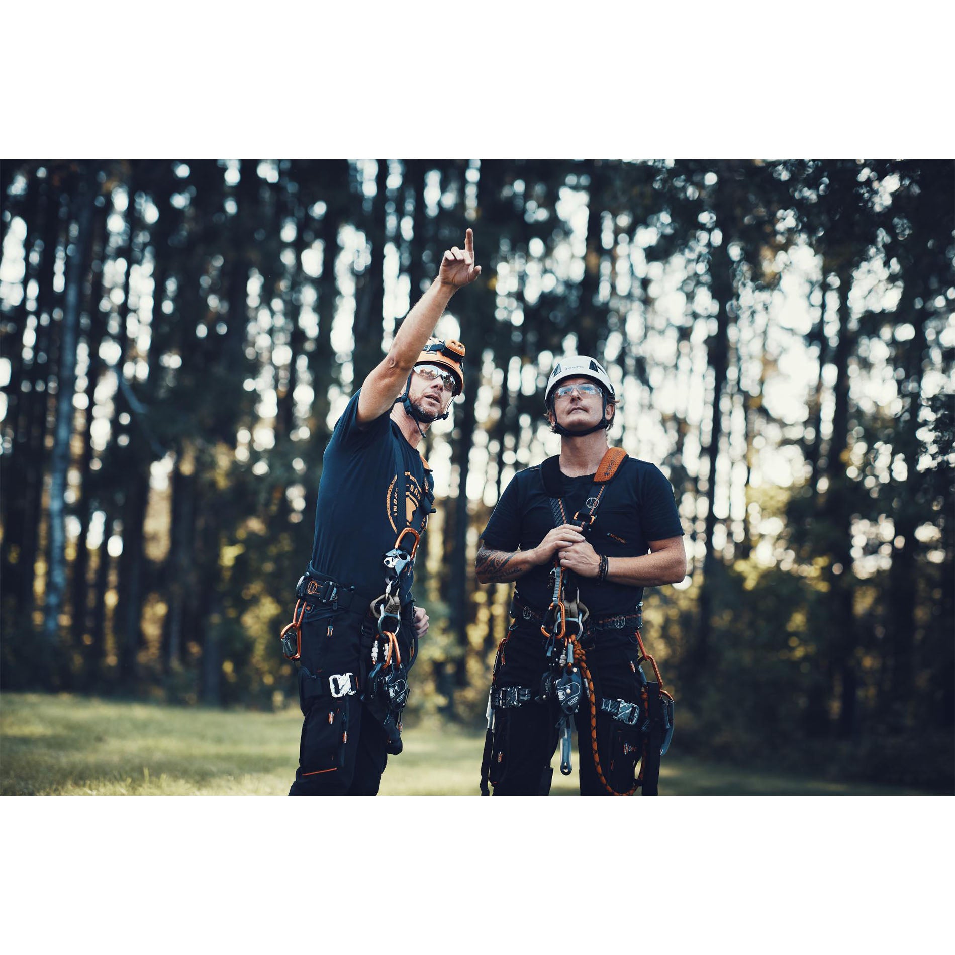 Skylotec Ignite Neon Harness