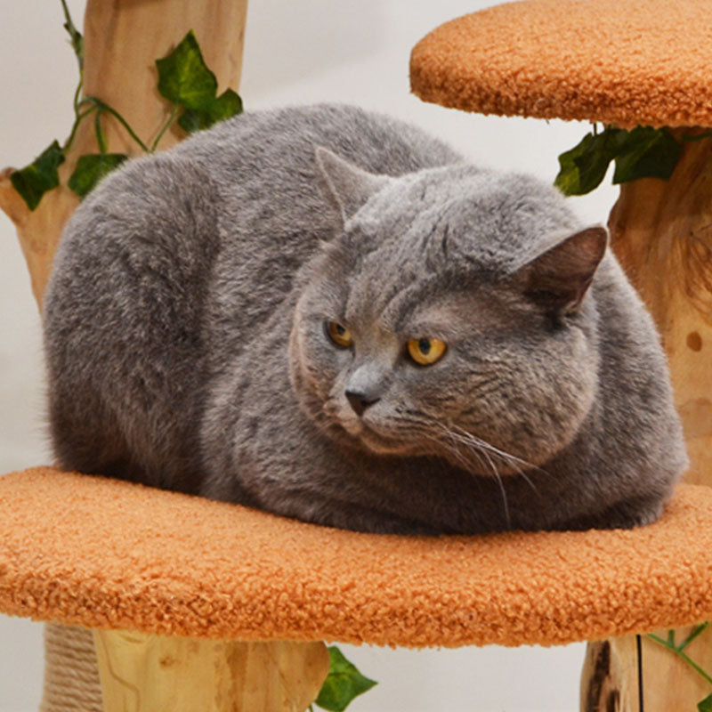 Brown Wood House Cat Tree