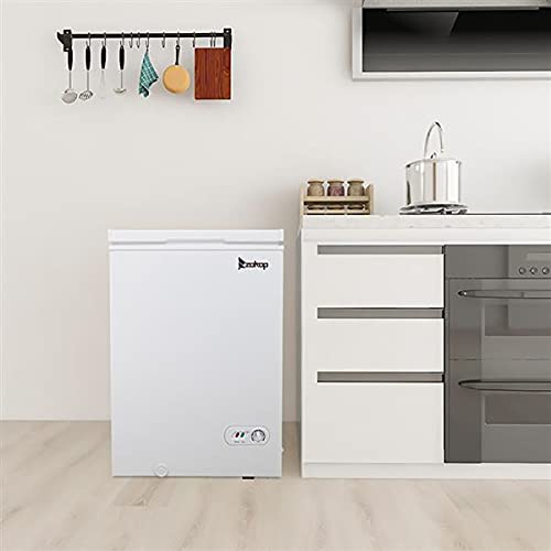 CYYQC BD-100 AC115V/60Hz 100L/3.5CU.FT Single Door Horizontal Freezer White