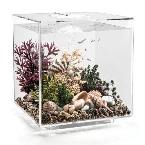 biOrb Cube 60L / 16 Gallon All-in-One Acrylic Aquarium Kit with Multicolor Light