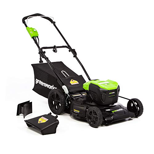 Greenworks 20-Inch 12 Amp Corded Electric Lawn Mower MO12B00