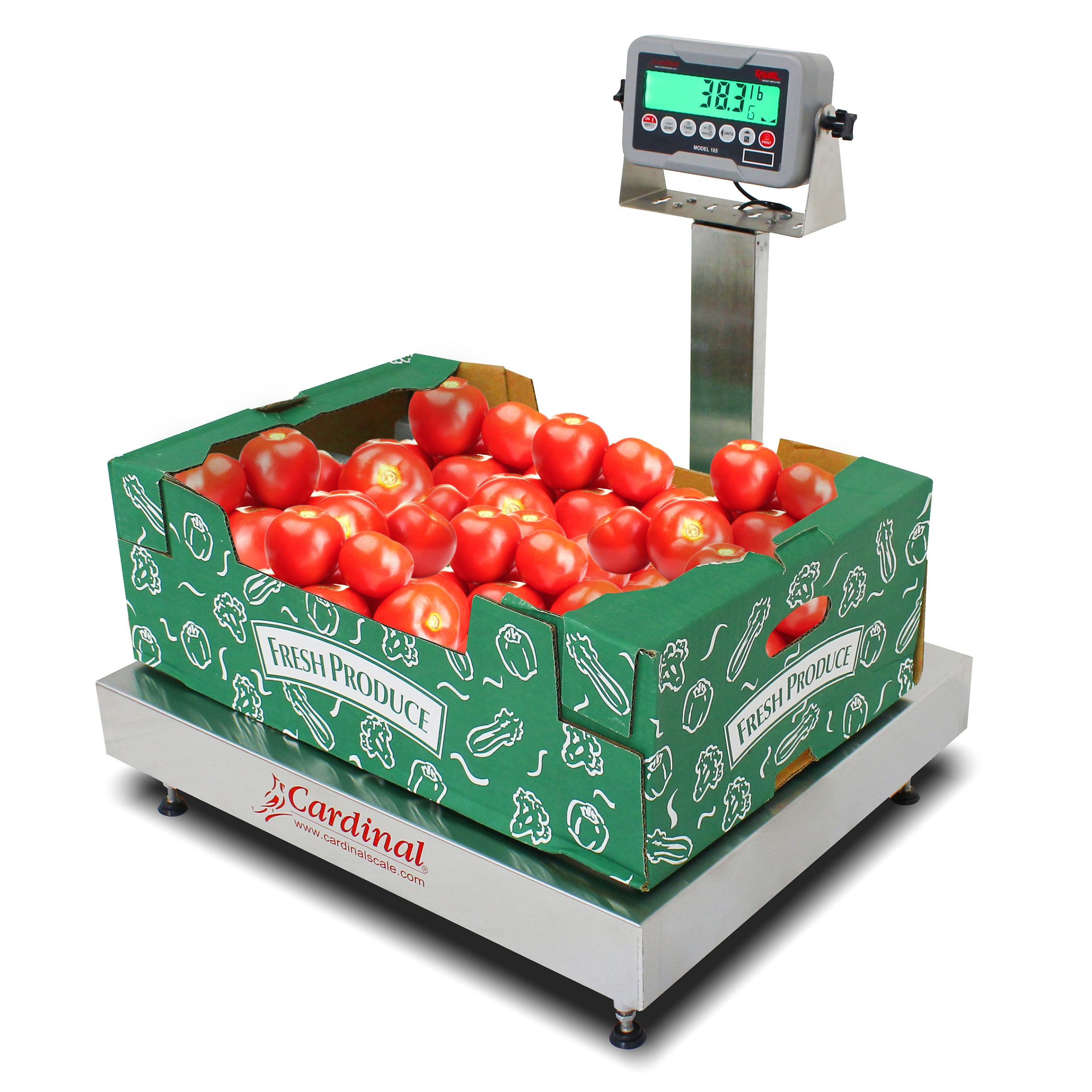 Cardinal EB-185 Series Bench Scale