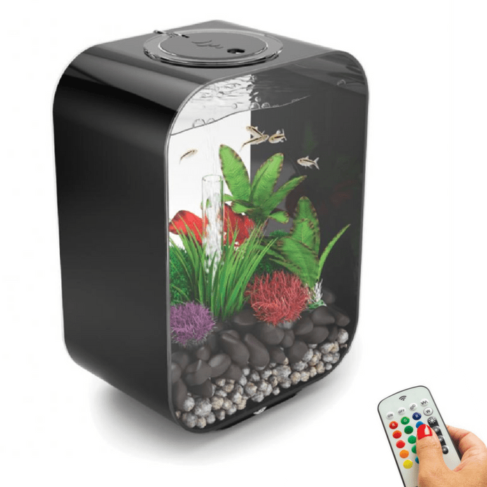 biOrb Life 15L / 4 Gallon All-in-One Acrylic Aquarium Kit with Multicolor Light