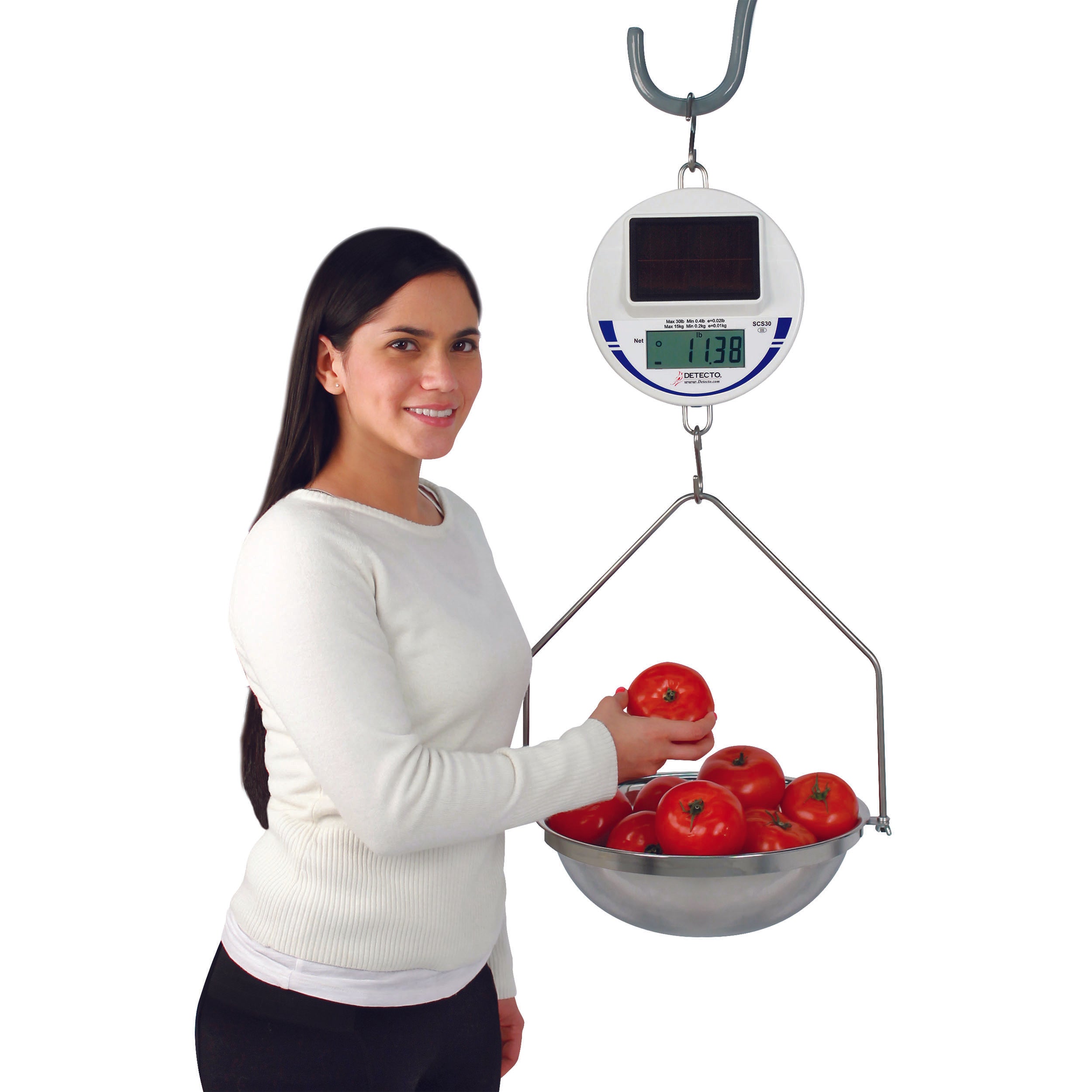Detecto Digital Solar Hanging Scale with Pan and Bow