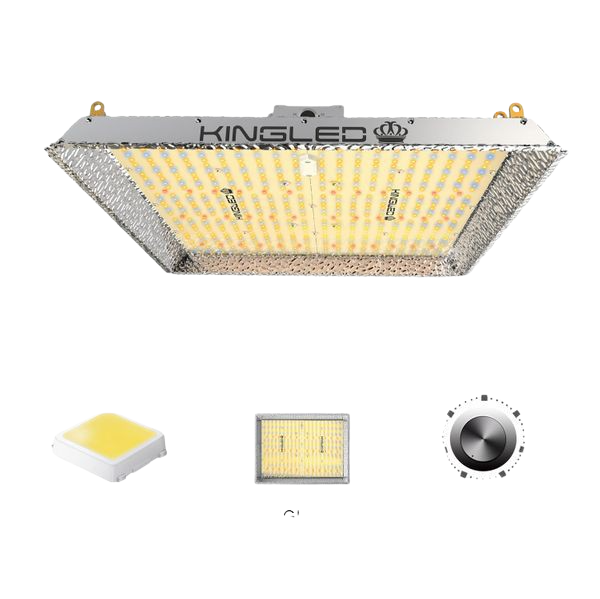 KINGLED 2000W Quantum Dimmable LED Grow Light With 684pcs Samsung LED's 4x4ft Coverage Full Spectrum for Hydroponics Greenhouse Commercial Indoor New