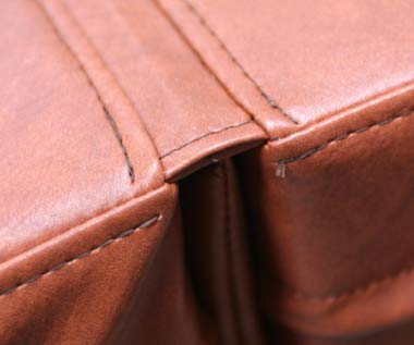 Hot Spring/Tiger River Bengal Spa Cover 5