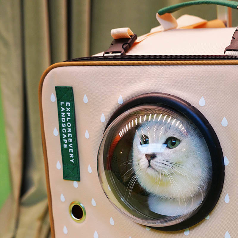 Transparent Window Cat Carrier