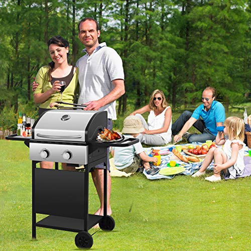 R.W.FLAME 16000BTU Liquid Propane Gas Grill with 2 Burners ，Stainless Steel Gas BBQ Wagon