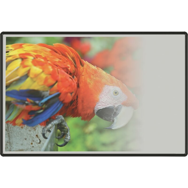 Best-Rite® Evolution Wall Mounted Whiteboard 48