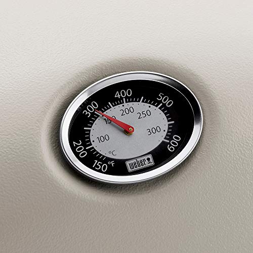 Weber 54060001 Q2200 Liquid Propane Grill , Gray