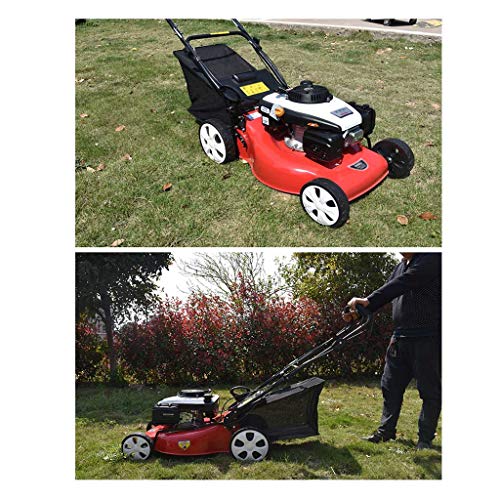 wangzi Self-propelled Lawnmower Self-propelled Hand-Push Lawn Mower Lawn Mower Household Cutting Height 20-50cm Cutting Width500mm