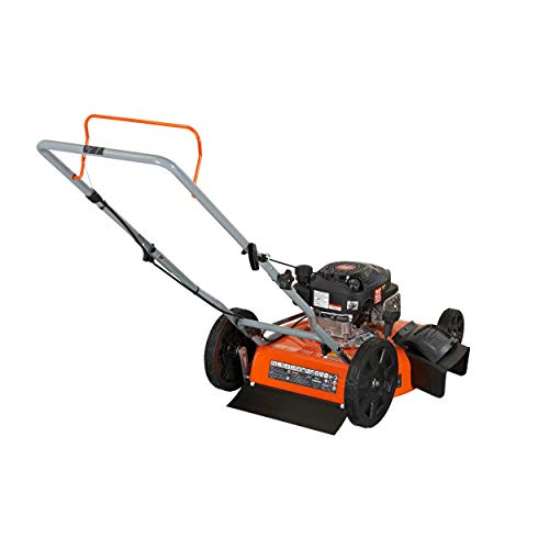 YARDMAX 21-Inch Walk-Behind 2-in-1 Push Mower 170cc YG1550