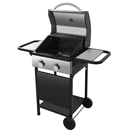 R.W.FLAME 16000BTU Liquid Propane Gas Grill with 2 Burners ，Stainless Steel Gas BBQ Wagon