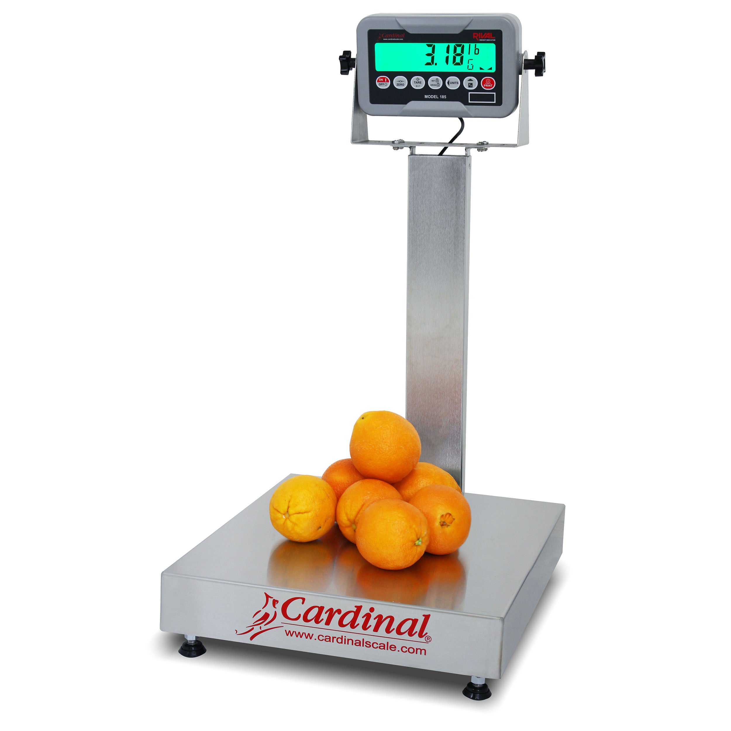 Cardinal EB-185 Series Bench Scale