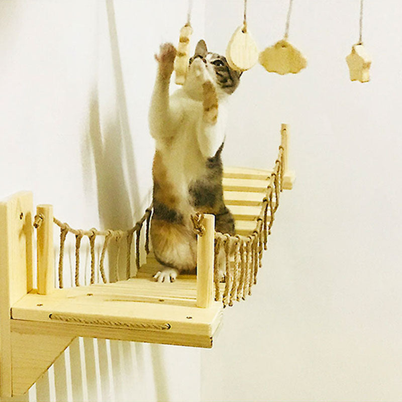 Cat Climbing Frame Ladder