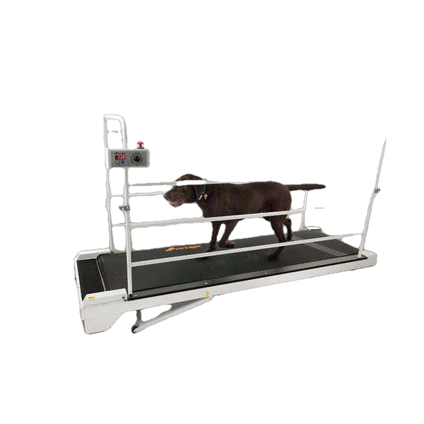 GoPet PR730 PetRun 59 Inch Large Breed up to 264 pounds Giant Dog Treadmill New