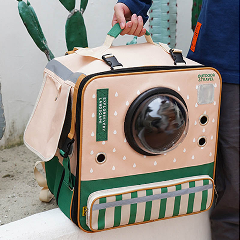 Transparent Window Cat Carrier