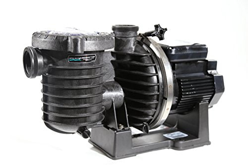 Sta-Rite 345076 Max-E-Pro High-Efficiency TEFC Super-Duty Pool/Spa Pump, 1 Horsepower, 208-230/460 Volt, 3 Phase