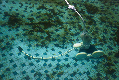 Amphitrite Pool Pressure Side Sweeper APH2160 : Professional Solution for Cleaning Your Swimming Pool