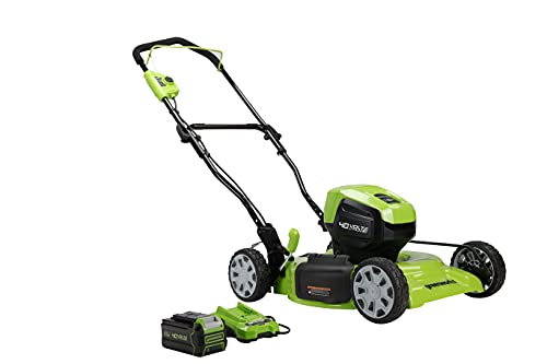 Greenworks 40V 19