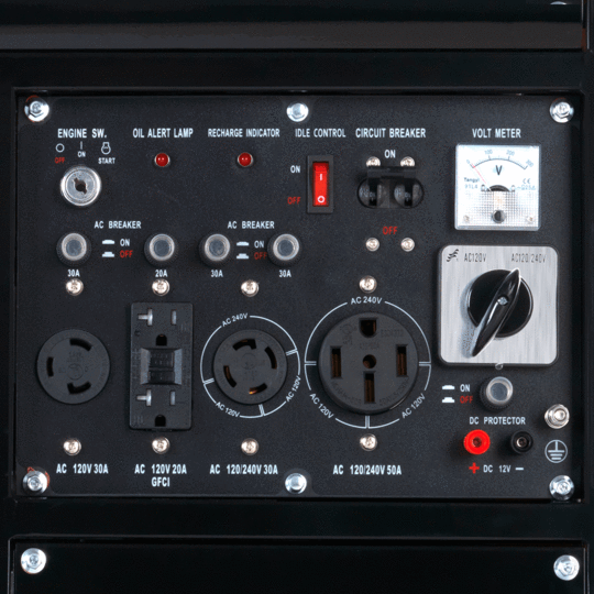 DuroStar DS10000EH 8000W/10000W Dual Fuel Electric Start Generator New