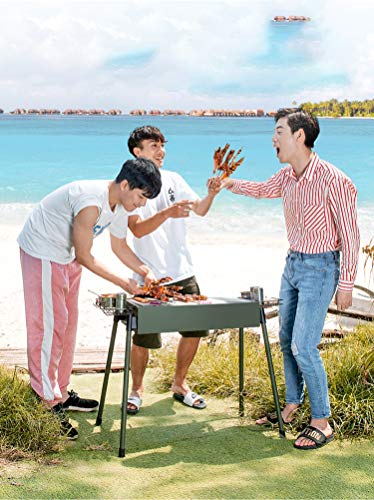 Barbecue Grill, Charcoal Grill Portable Folding BBQ Grill Barbecue Desk Tabletop Outdoor Barbeque Grill for Picnic Garden Terrace Camping Travel (Color : STYLE3, Size : 703574)