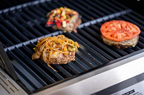 Monument Grills 14633 2-Burner Stainless Steel Liquid Propane Gas Grill with Clear View Lid, LED Controls