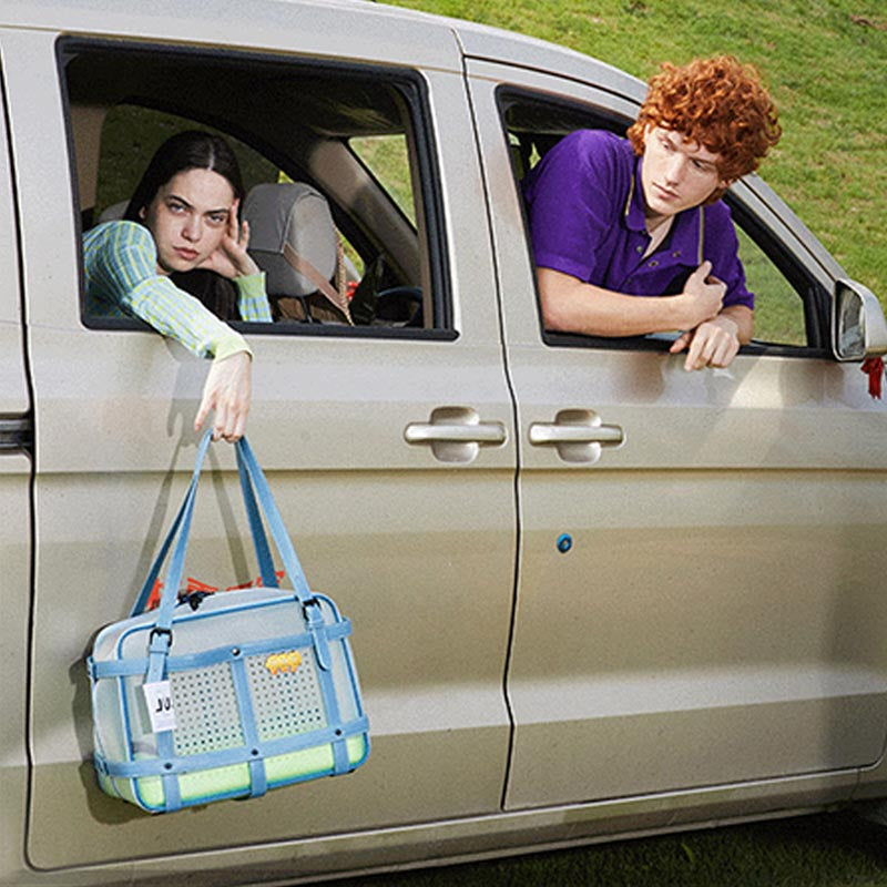 Blue Portable Cat Carrier