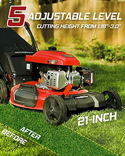 PowerSmart Lawn Mower, 21-inch Gas Powered Push Lawn Mower, 170CC 4-Stroke Push Mower, 3-in-1 Gas Mower, 5 Adjustable Heights (1.18''-3.0'' ), DB2194PR