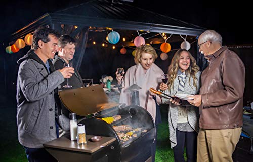 Z GRILLS ZPG-7002E 2020 Upgrade Wood Pellet Grill & Smoker, 8 in 1 BBQ Grill Auto Temperature Controls, inch Cooking Area, 700 sq, Silver