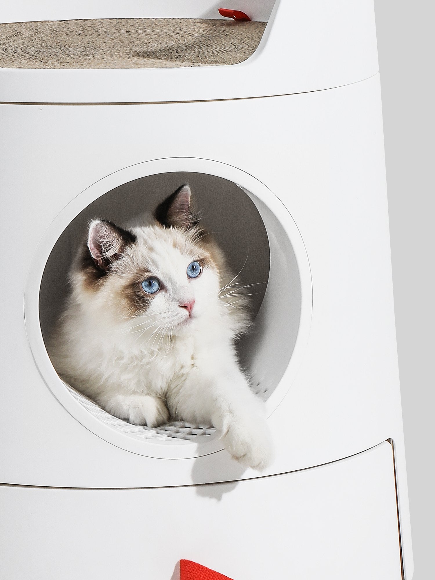 2-in-1 Castle Cat Litter Box