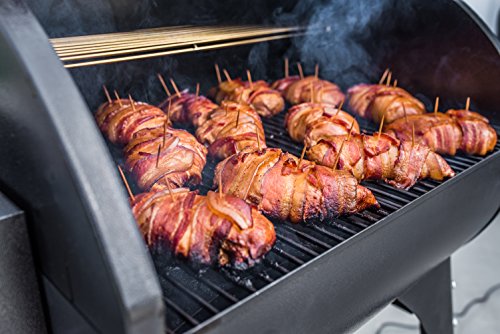 Camp Chef SmokePro XT Wood Pellet Grill Smoker, Bronze (PG24XTB)