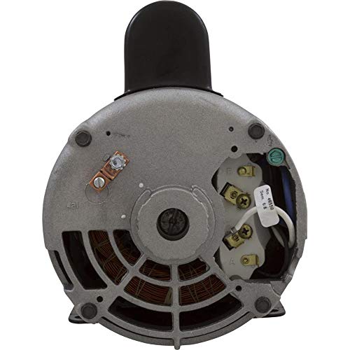 AO Smith/Century Electric 56-Frame Spa, Waterway Replacement, Single-Speed, 5.0 SPLHP, 3450RPM, 230V, 16.4 AMPS, Through Bolt Flange