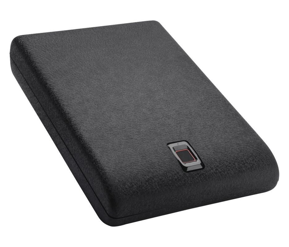 Portable Safe, Black, 1 Lb., Steel