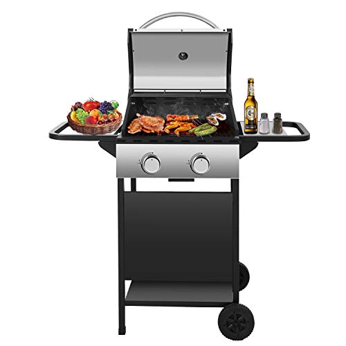 RMYHOME BBQ Liquid Propane Gas Grill Stainless Steel 16,000 BTU Patio Garden Barbecue Grill with Built in Thermometer, Removable Wheels (Two Burners)