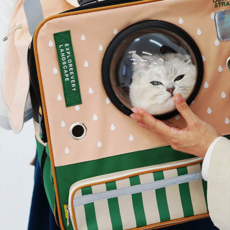 Transparent Window Cat Carrier