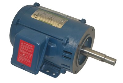 Pentair C218-191 Single Phase Motor Replacement Pool and Spa Commercial Pump, 200-Volt, 60-Hertz